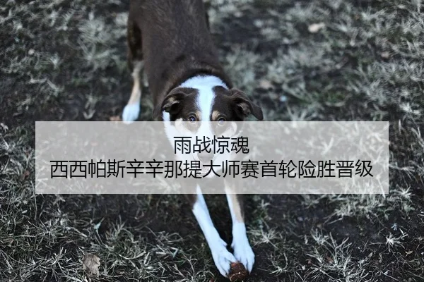 雨战惊魂 西西帕斯辛辛那提大师赛首轮险胜晋级